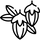 Aceite de jojoba